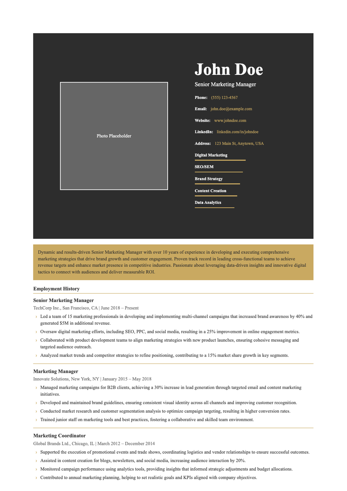 Professional two column resume template with skills bars and profile section_variant_2